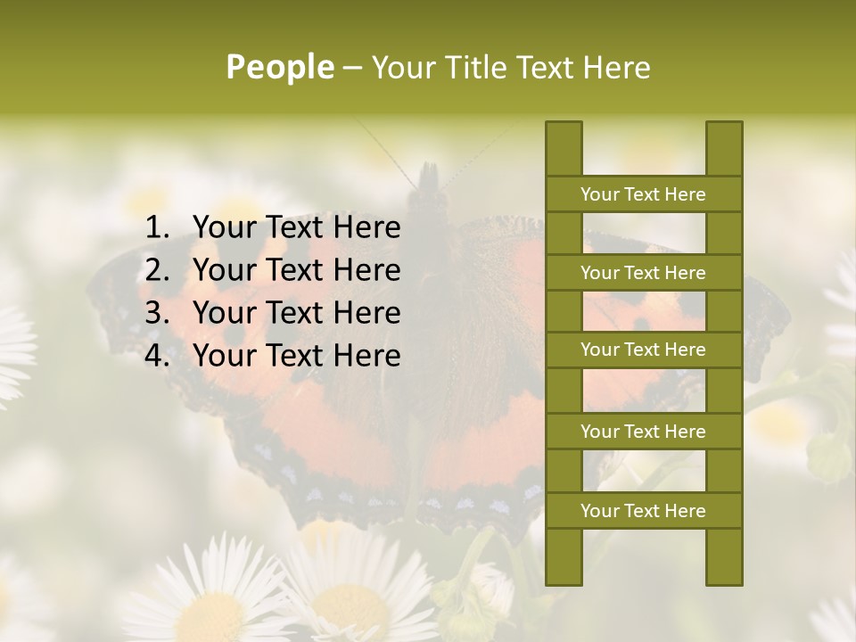Field Flower Fields Summer PowerPoint Template