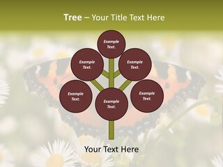 Field Flower Fields Summer PowerPoint Template