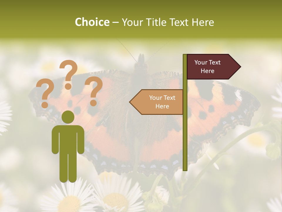 Field Flower Fields Summer PowerPoint Template