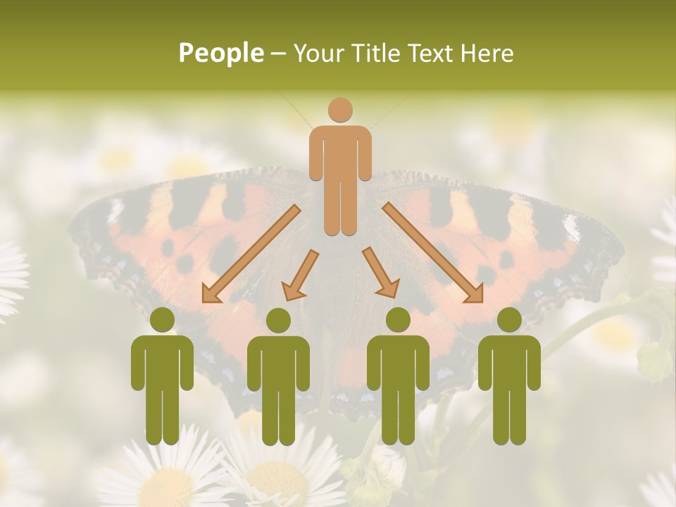 Field Flower Fields Summer PowerPoint Template