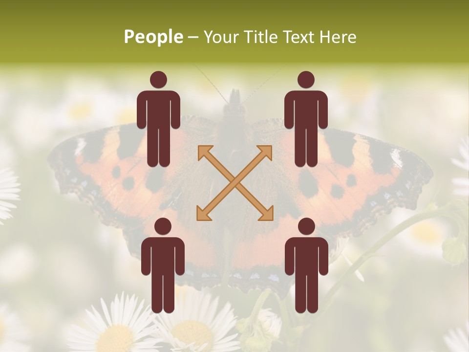 Field Flower Fields Summer PowerPoint Template