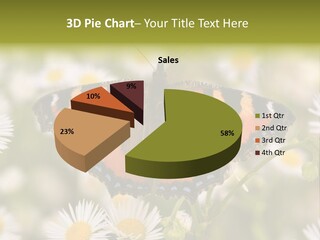 Field Flower Fields Summer PowerPoint Template