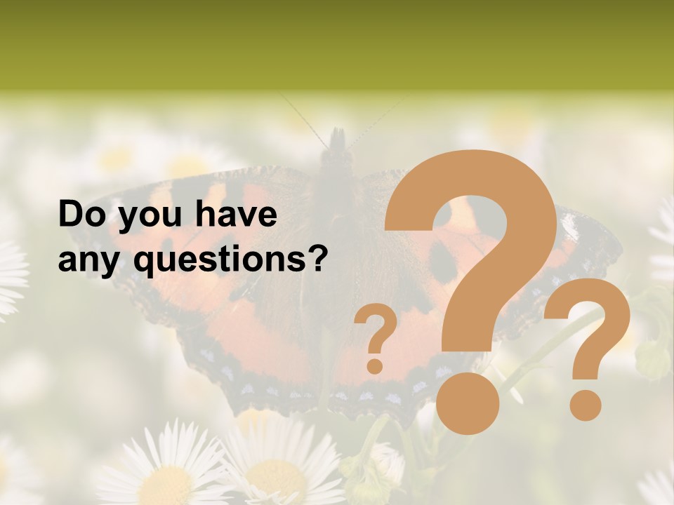 Field Flower Fields Summer PowerPoint Template