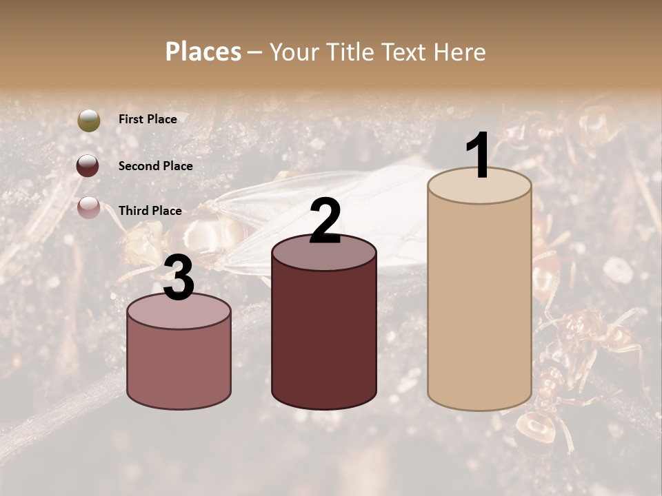 Close To Mould Detail PowerPoint Template