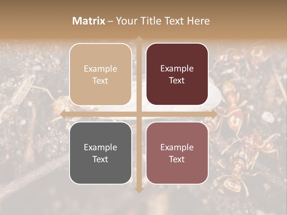 Close To Mould Detail PowerPoint Template