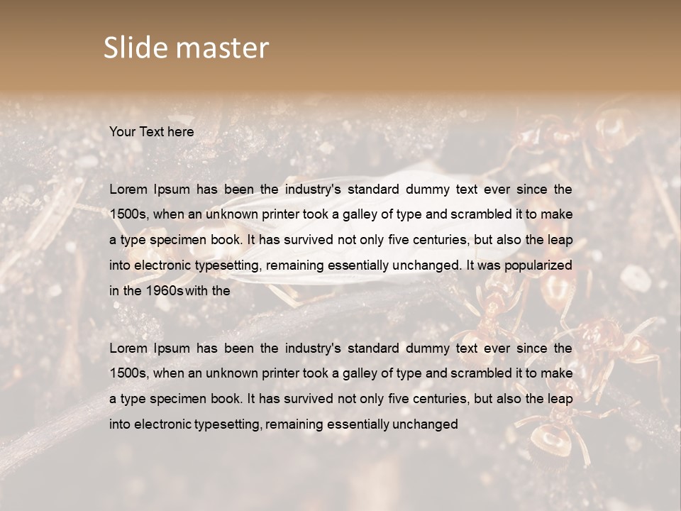 Close To Mould Detail PowerPoint Template