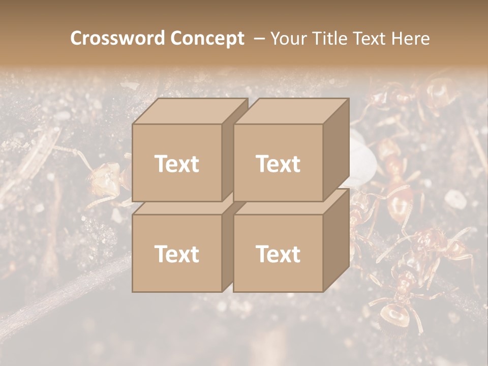 Close To Mould Detail PowerPoint Template