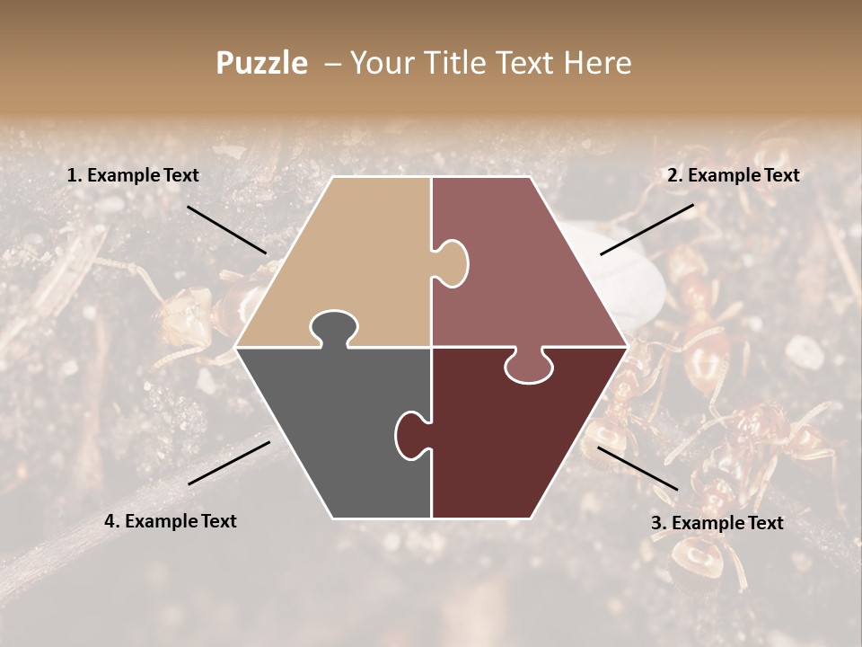 Close To Mould Detail PowerPoint Template