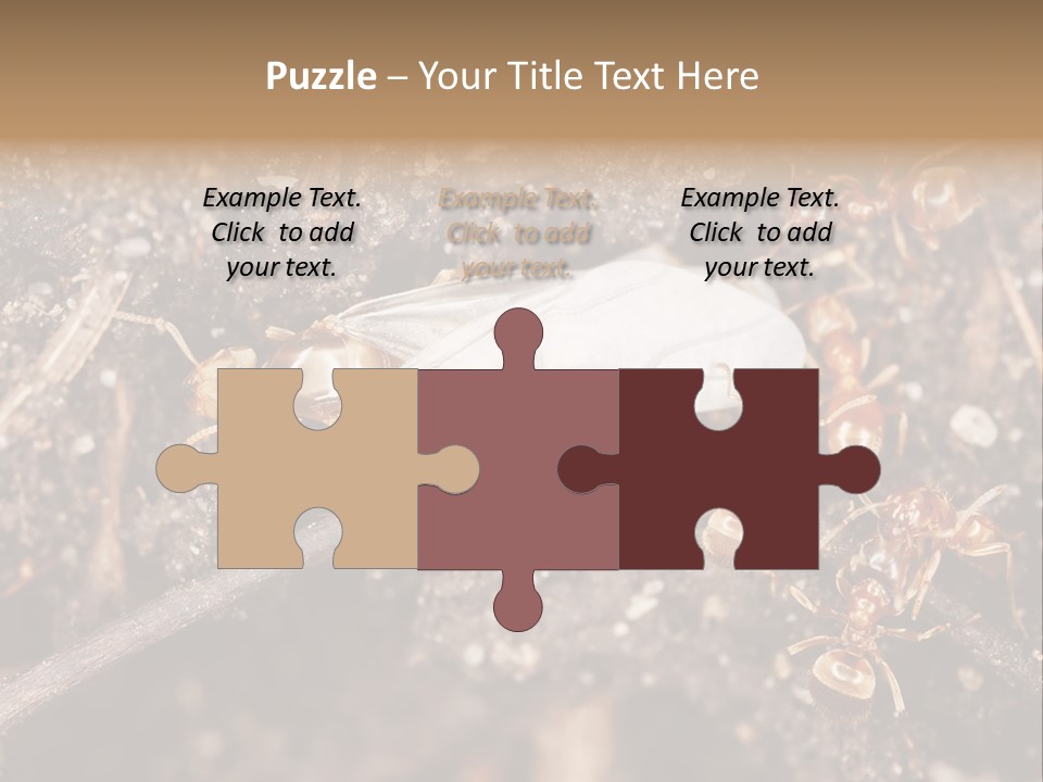 Close To Mould Detail PowerPoint Template