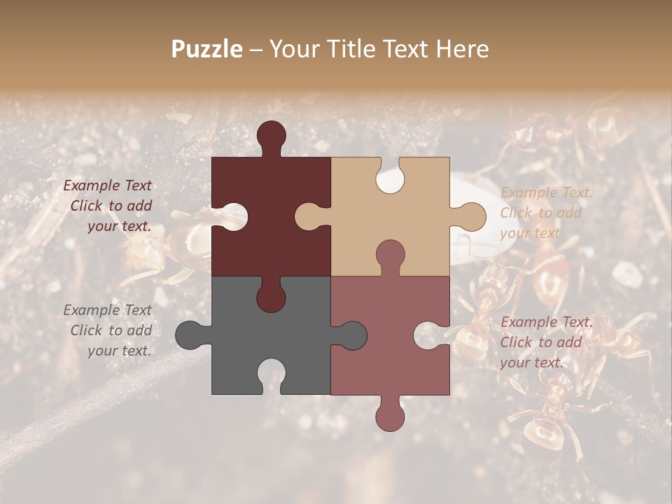 Close To Mould Detail PowerPoint Template