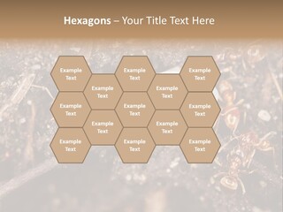 Close To Mould Detail PowerPoint Template