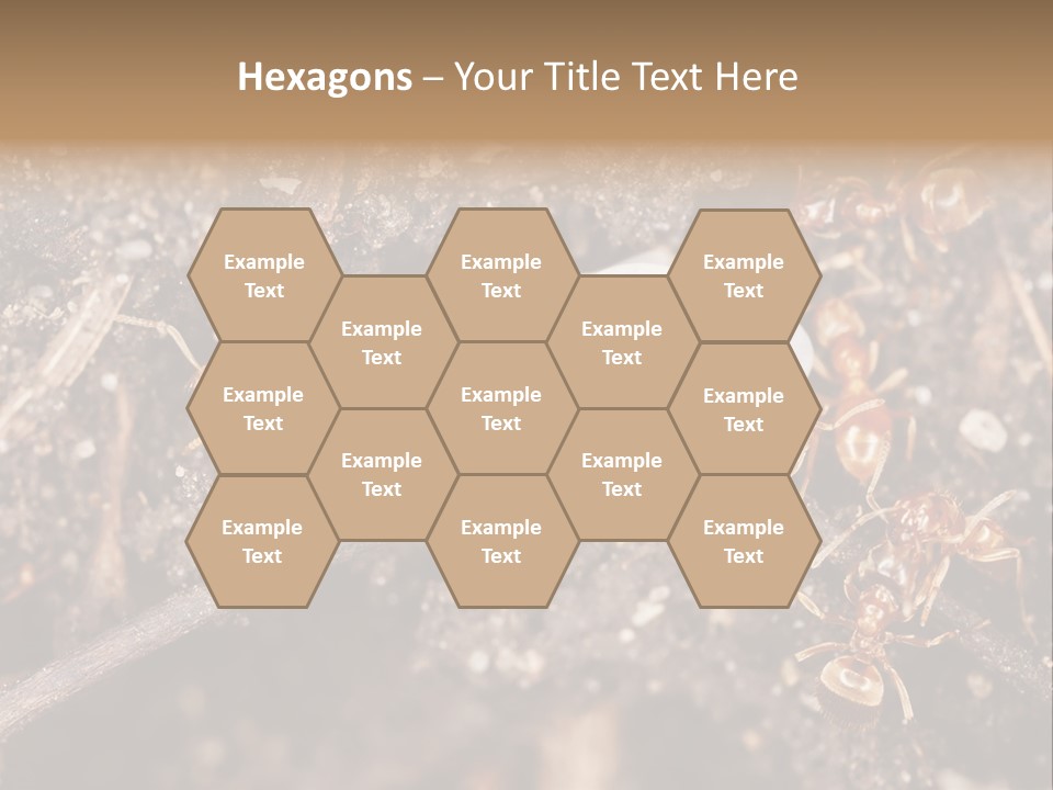 Close To Mould Detail PowerPoint Template