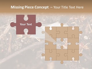 Close To Mould Detail PowerPoint Template