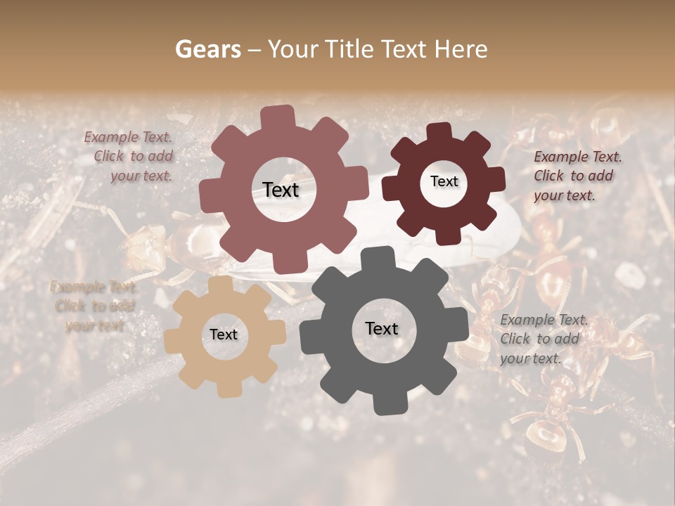 Close To Mould Detail PowerPoint Template