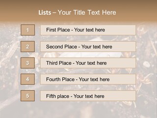 Close To Mould Detail PowerPoint Template