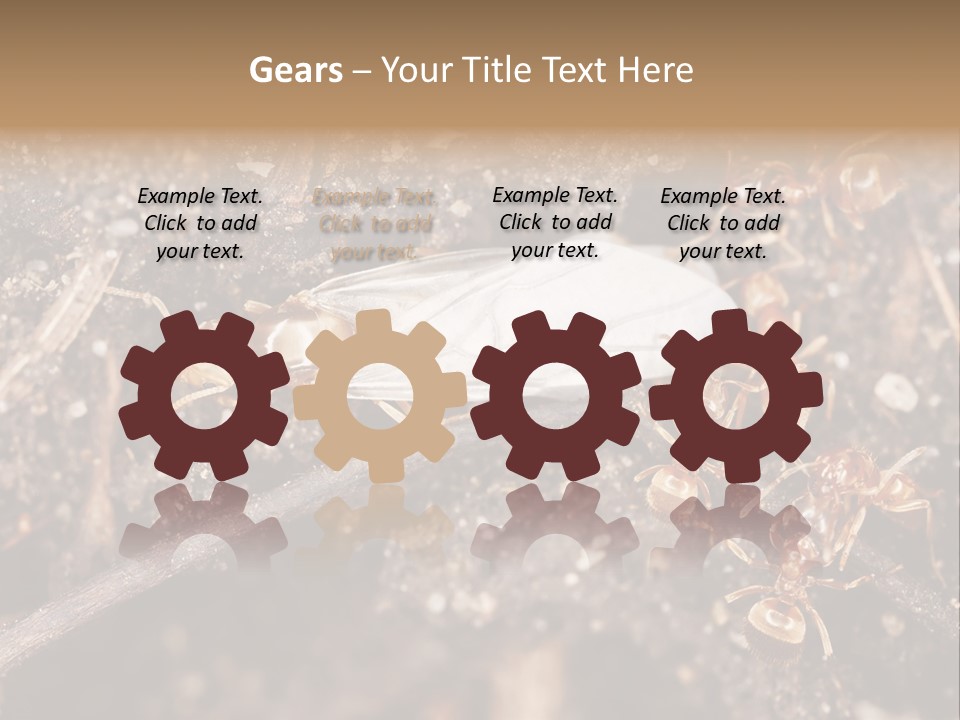 Close To Mould Detail PowerPoint Template