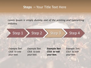 Close To Mould Detail PowerPoint Template