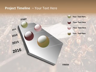 Close To Mould Detail PowerPoint Template