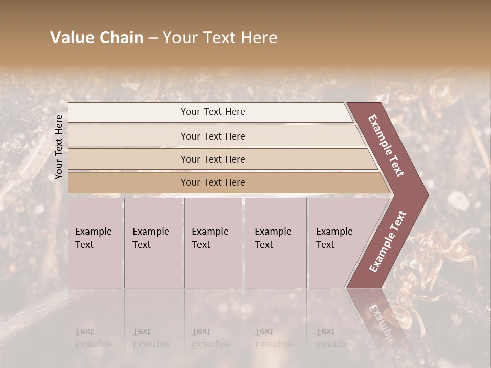 Close To Mould Detail PowerPoint Template