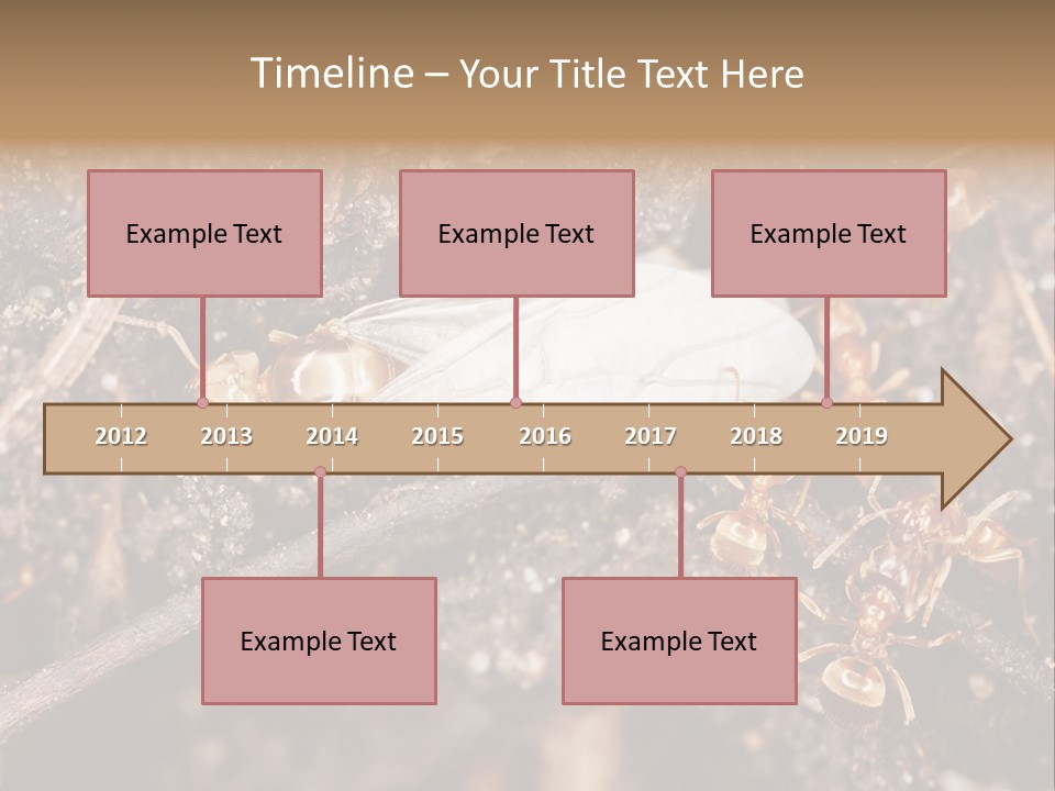 Close To Mould Detail PowerPoint Template