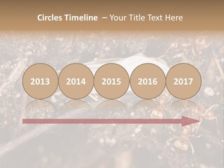 Close To Mould Detail PowerPoint Template