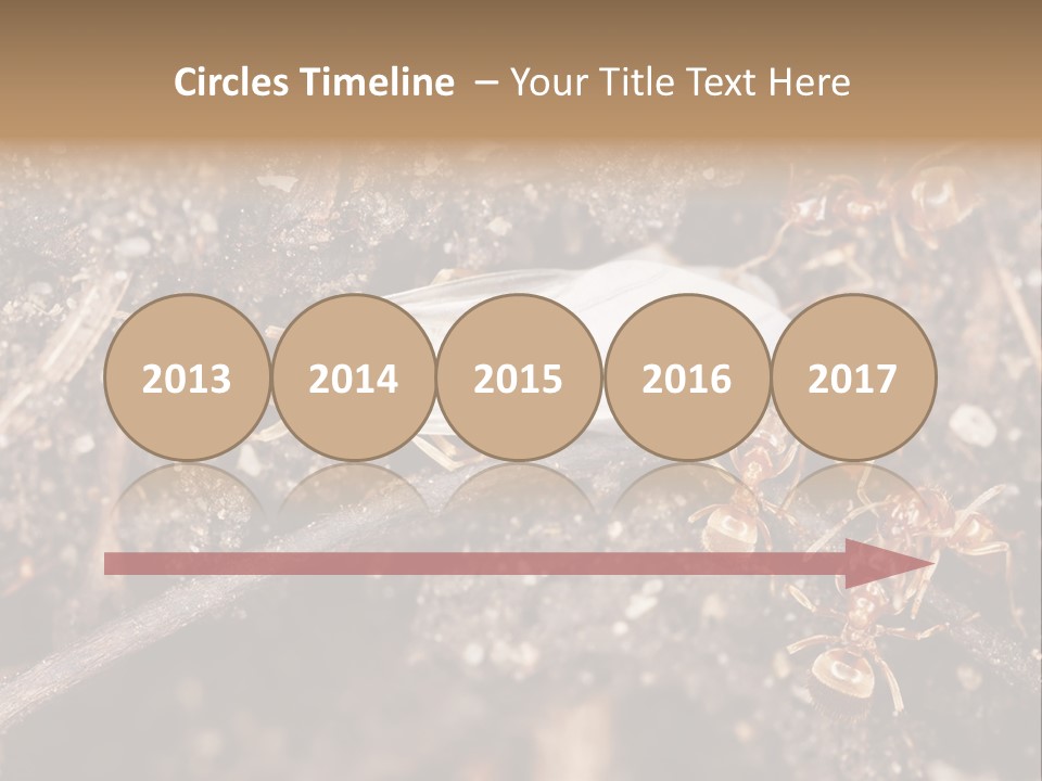 Close To Mould Detail PowerPoint Template