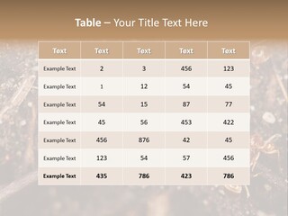 Close To Mould Detail PowerPoint Template