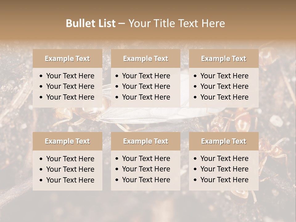 Close To Mould Detail PowerPoint Template