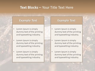 Close To Mould Detail PowerPoint Template