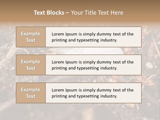Close To Mould Detail PowerPoint Template