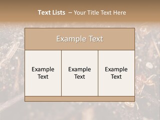Close To Mould Detail PowerPoint Template