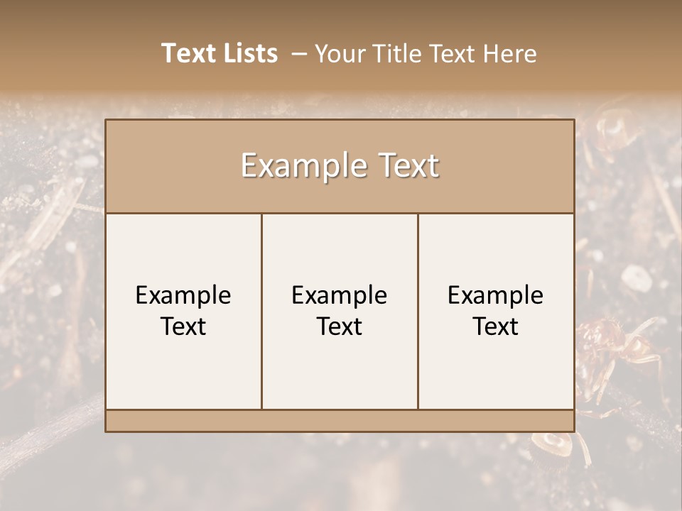 Close To Mould Detail PowerPoint Template