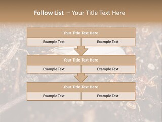 Close To Mould Detail PowerPoint Template