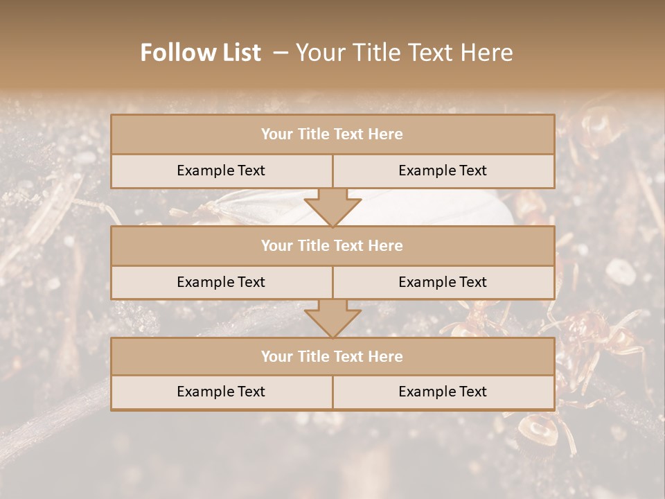 Close To Mould Detail PowerPoint Template