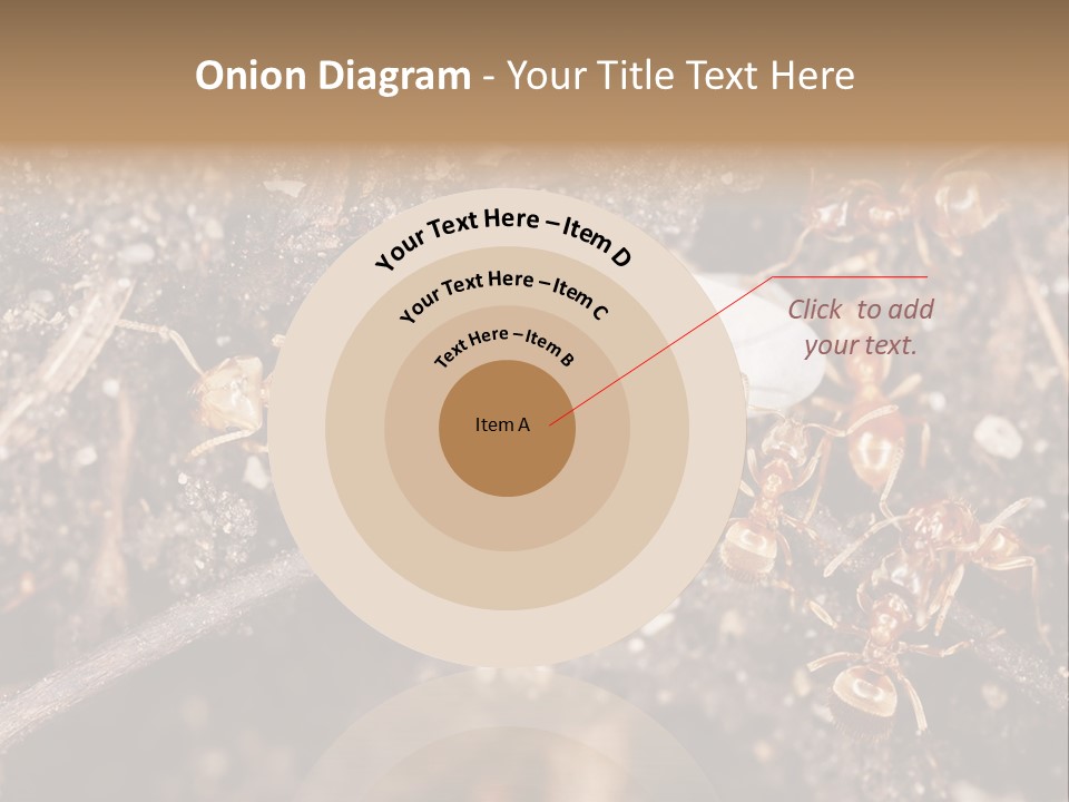 Close To Mould Detail PowerPoint Template