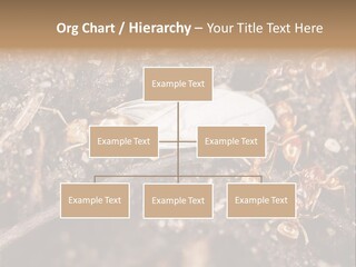 Close To Mould Detail PowerPoint Template
