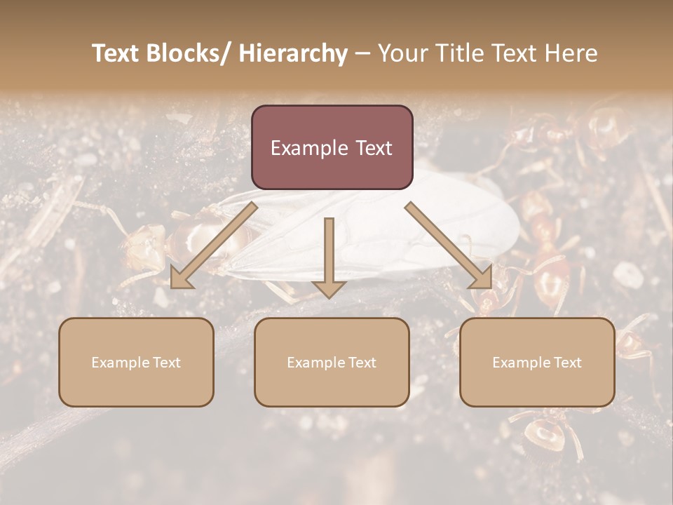 Close To Mould Detail PowerPoint Template