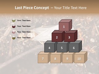 Close To Mould Detail PowerPoint Template