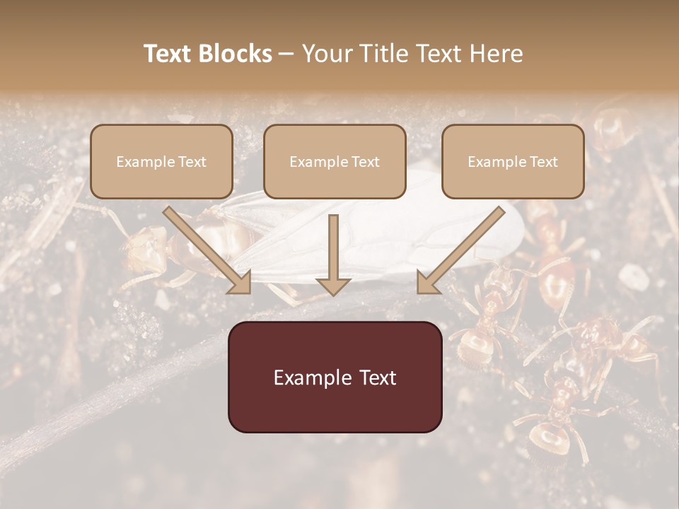 Close To Mould Detail PowerPoint Template