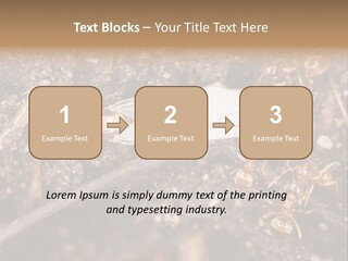 Close To Mould Detail PowerPoint Template