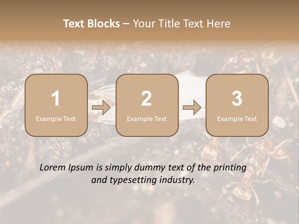 Close To Mould Detail PowerPoint Template