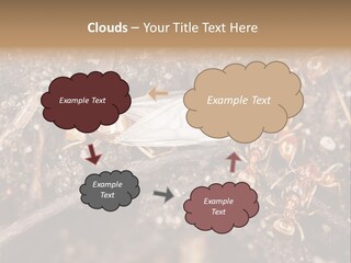 Close To Mould Detail PowerPoint Template