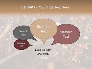 Close To Mould Detail PowerPoint Template