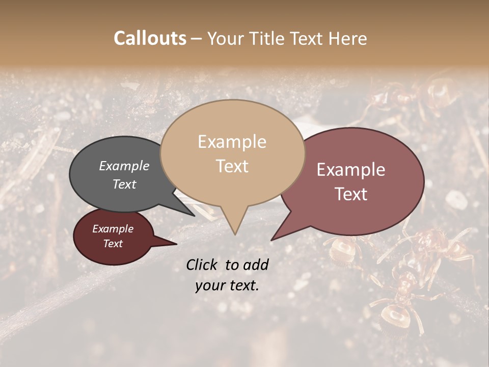 Close To Mould Detail PowerPoint Template