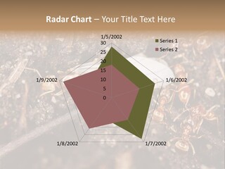 Close To Mould Detail PowerPoint Template