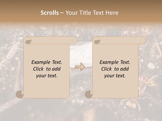 Close To Mould Detail PowerPoint Template