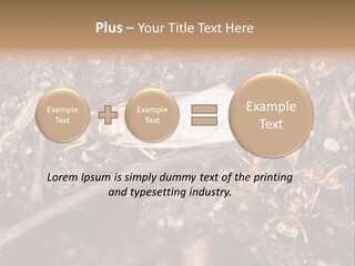 Close To Mould Detail PowerPoint Template