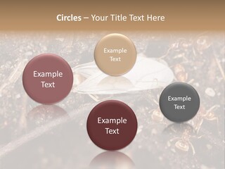 Close To Mould Detail PowerPoint Template