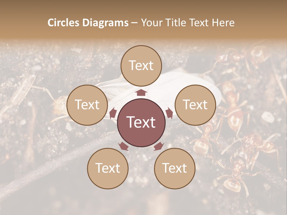 Close To Mould Detail PowerPoint Template