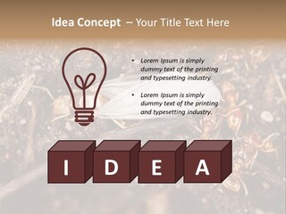 Close To Mould Detail PowerPoint Template